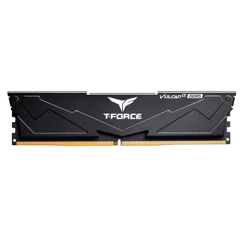 Memoria RAM TeamGroup T-Force Vulcan α 16GB DDR5-5600 (CL40, DIMM, Negro)